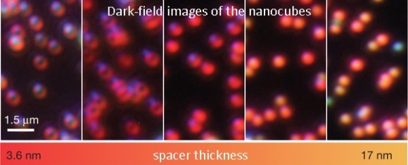Dibujo20121205 Dark-field images nanocubes randomly adsorbed nanoscale polymer spacer on gold film